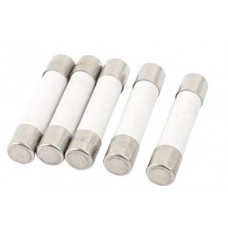 20amp    6X30MM